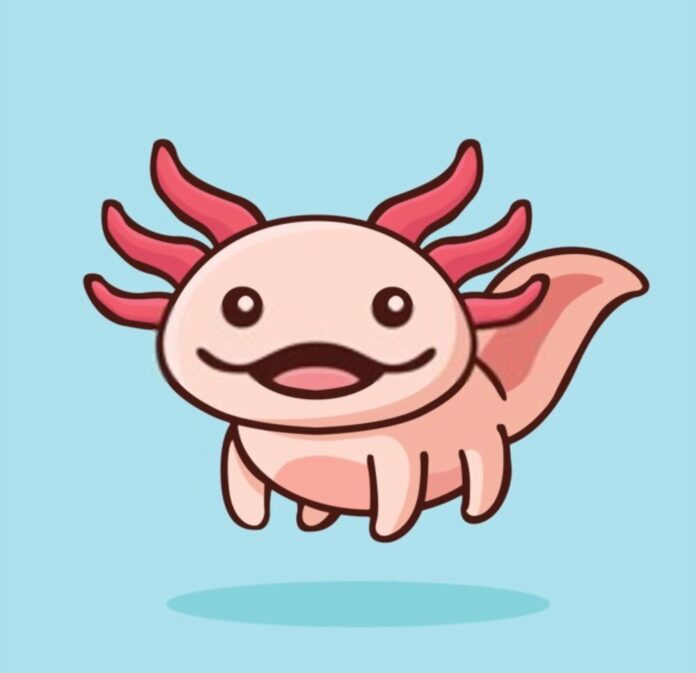 How Much to Feed Baby axolotl